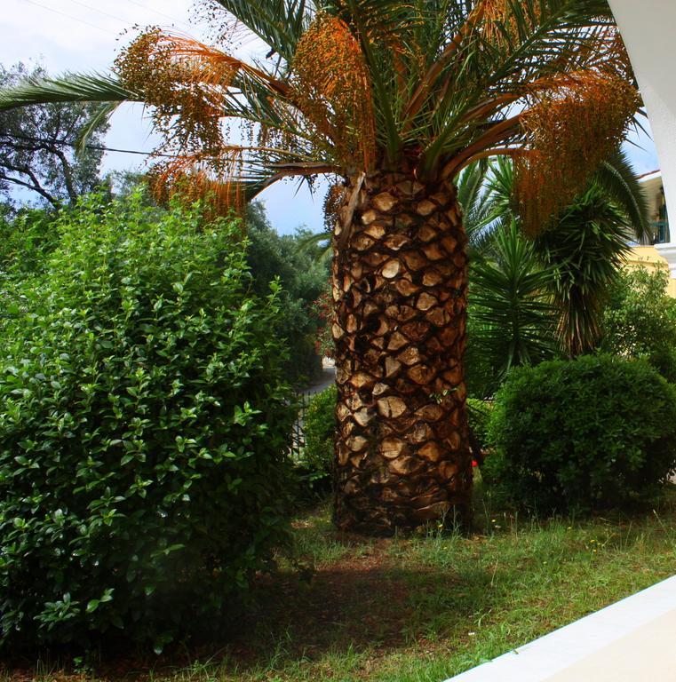 Lea Family Resort Кассиопи Экстерьер фото